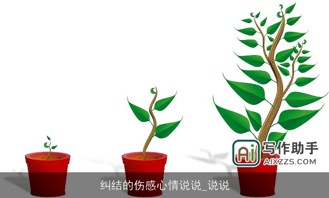 纠结的伤感心情说说_说说