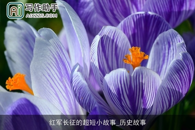 红军长征的超短小故事_历史故事