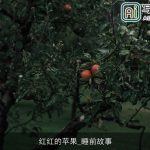 红红的苹果_睡前故事