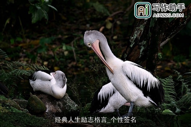 经典人生励志格言_个性签名