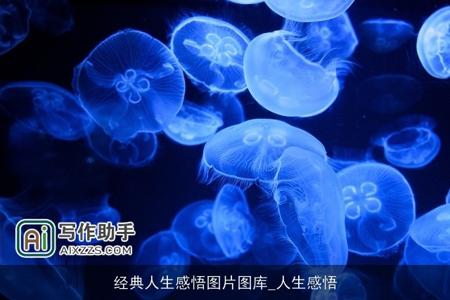 经典人生感悟图片图库_人生感悟