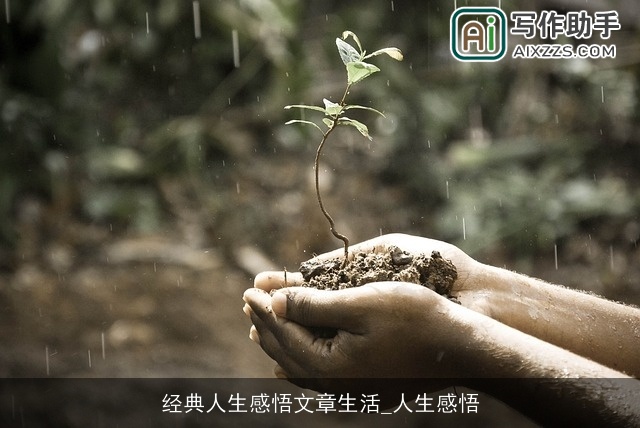 经典人生感悟文章生活_人生感悟