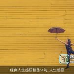 经典人生感悟精选51句_人生感悟