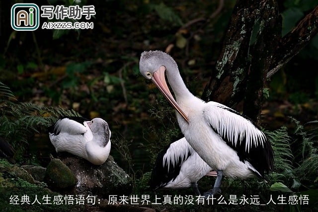 经典人生感悟语句：原来世界上真的没有什么是永远_人生感悟