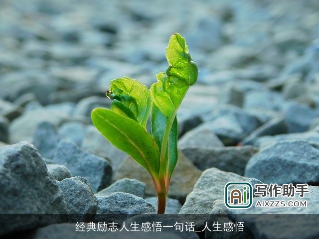 经典励志人生感悟一句话_人生感悟