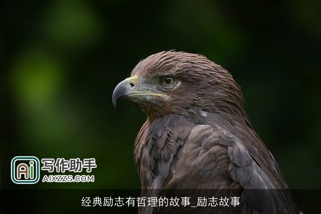 经典励志有哲理的故事_励志故事