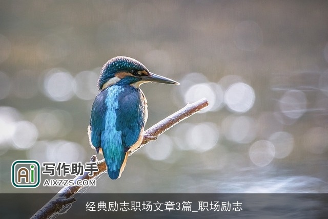 经典励志职场文章3篇_职场励志