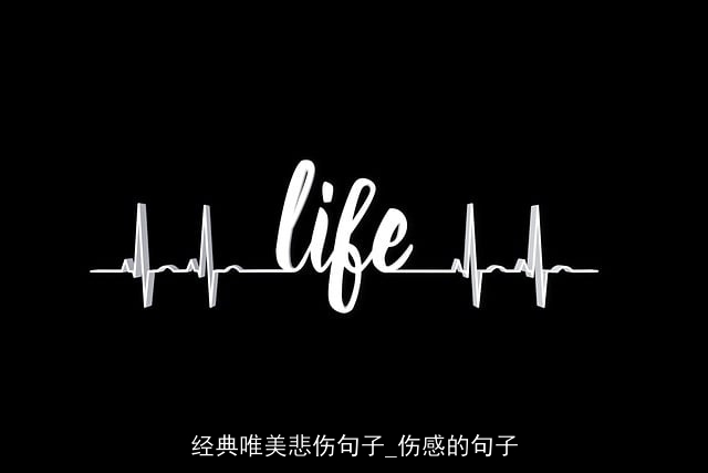 经典唯美悲伤句子_伤感的句子