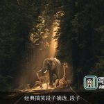 经典搞笑段子摘选_段子