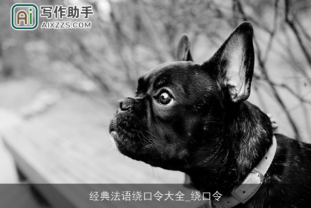 经典法语绕口令大全_绕口令