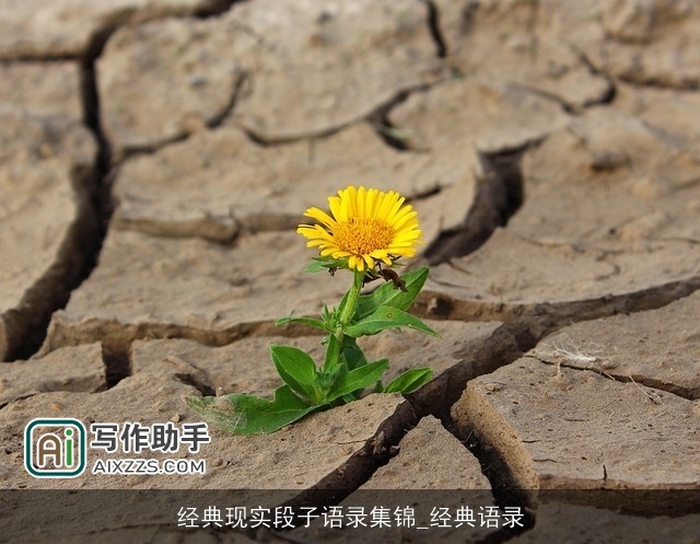 经典现实段子语录集锦_经典语录