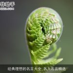 经典理想的名言大全_名人名言精选