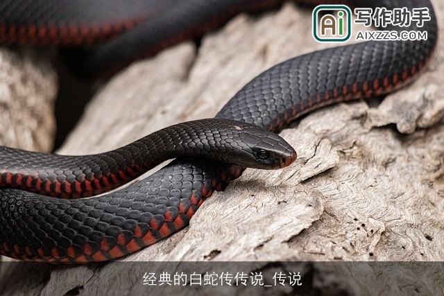 经典的白蛇传传说_传说