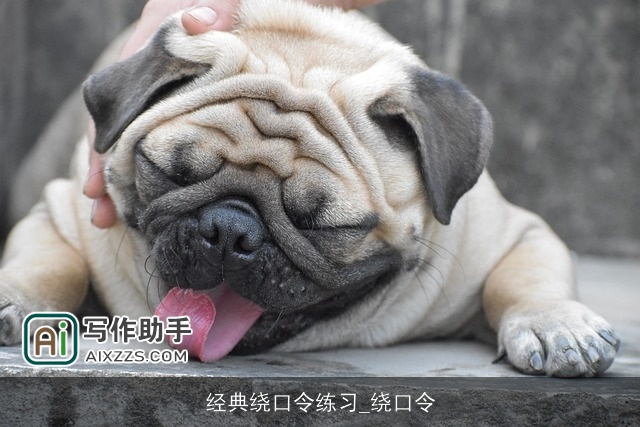 经典绕口令练习_绕口令