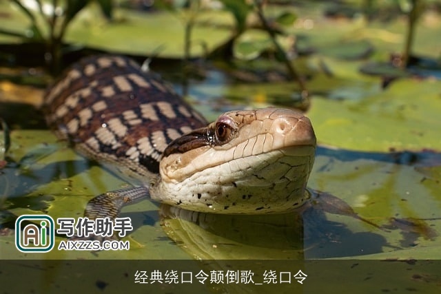 经典绕口令颠倒歌_绕口令