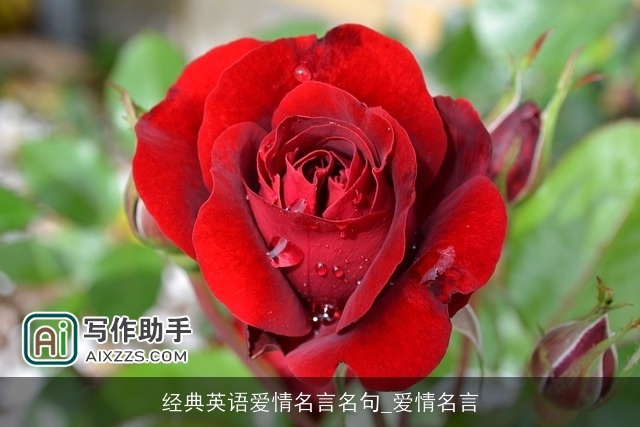 经典英语爱情名言名句_爱情名言