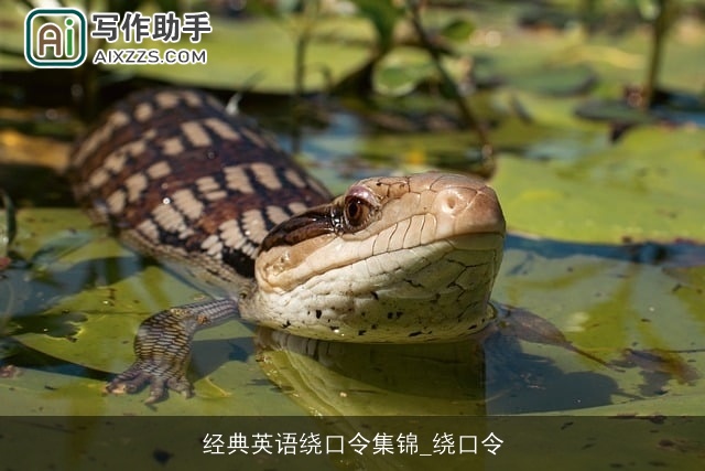 经典英语绕口令集锦_绕口令