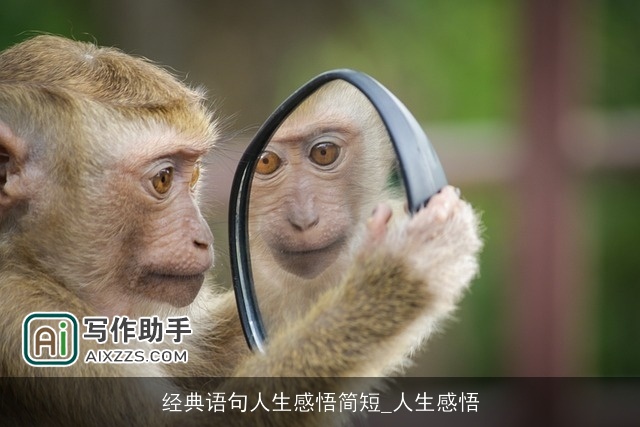 经典语句人生感悟简短_人生感悟