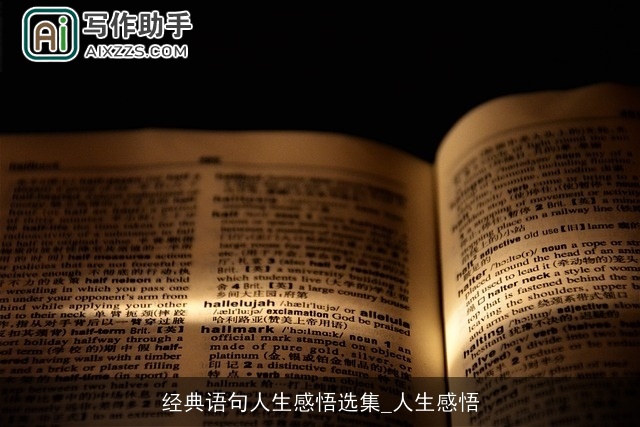 经典语句人生感悟选集_人生感悟