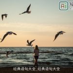 经典语句大全_经典语句大全