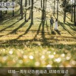 结婚一周年纪念祝福语_结婚祝福语