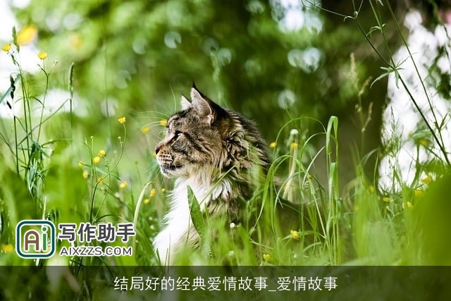 结局好的经典爱情故事_爱情故事