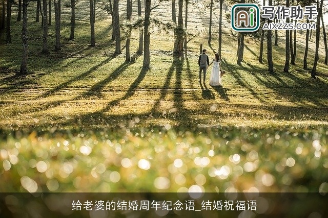 给老婆的结婚周年纪念语_结婚祝福语