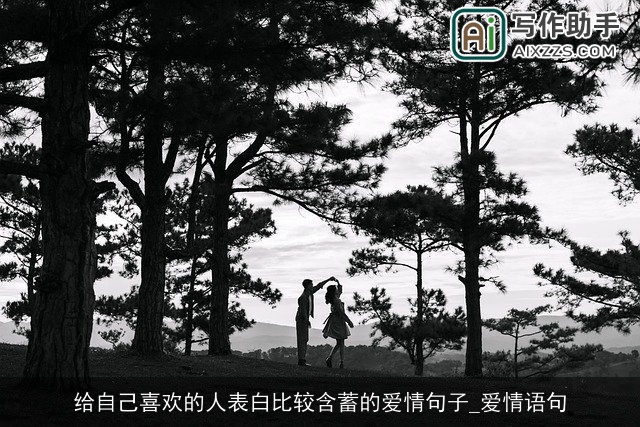 给自己喜欢的人表白比较含蓄的爱情句子_爱情语句