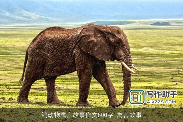 编动物寓言故事作文800字_寓言故事