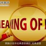 网络小说中经典语录摘抄_经典语录