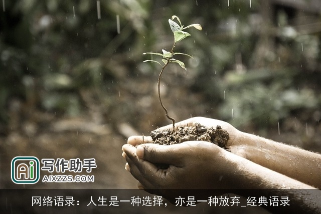 网络语录：人生是一种选择，亦是一种放弃_经典语录