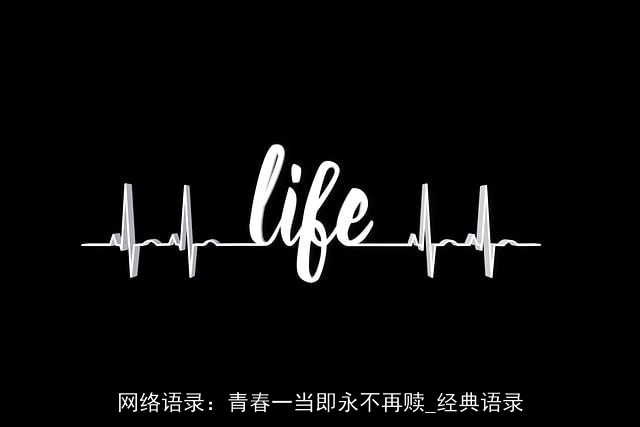 网络语录：青春一当即永不再赎_经典语录