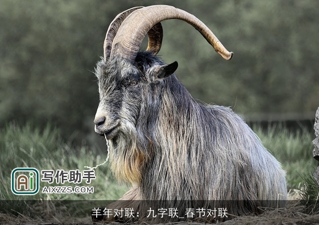 羊年对联：九字联_春节对联