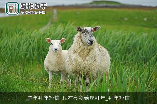 羊年拜年短信 现在亮剑给您拜年_拜年短信