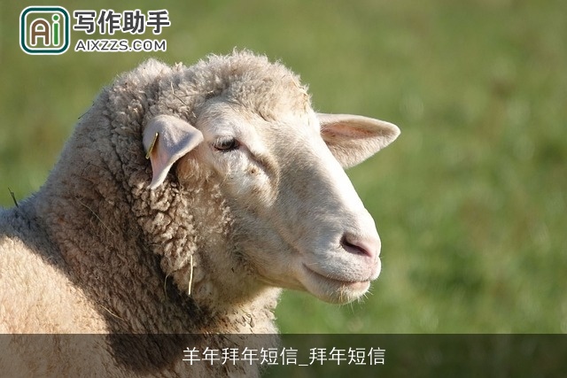 羊年拜年短信_拜年短信