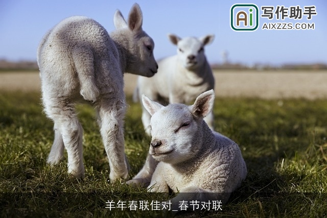 羊年春联佳对_春节对联