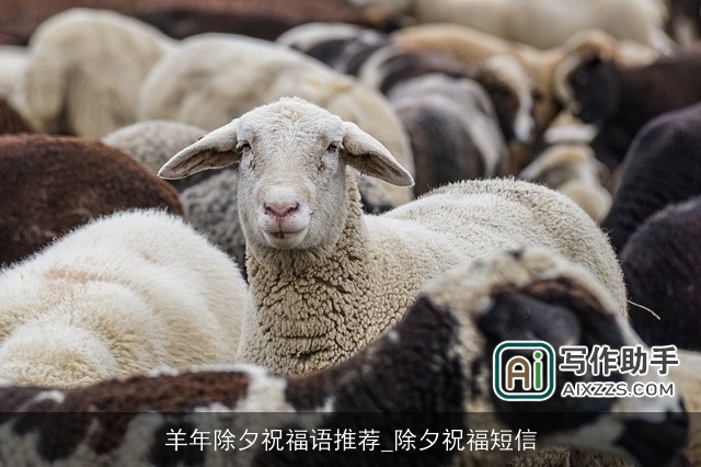 羊年除夕祝福语推荐_除夕祝福短信