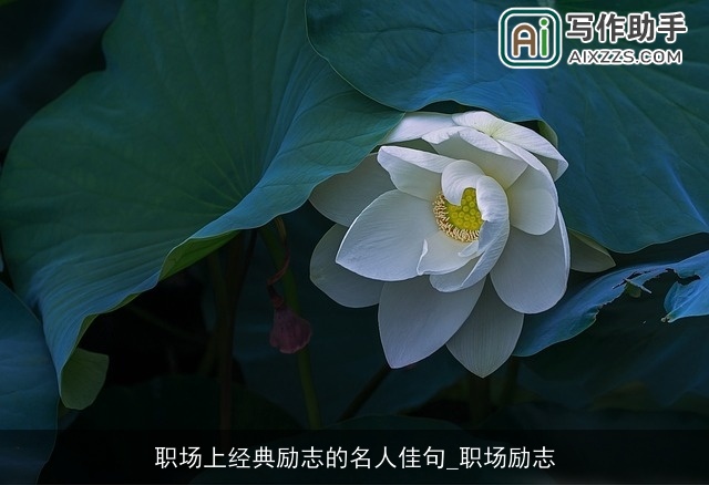 职场上经典励志的名人佳句_职场励志