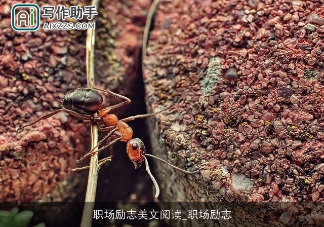 职场励志美文阅读_职场励志