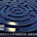 脑筋急转弯为什么母鸡都是短腿_脑筋急转弯大全