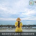 脑筋急转弯乌龟盖房子_经典脑筋急转弯