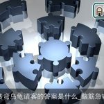 脑筋急转弯乌龟请客的答案是什么_脑筋急转弯大全