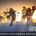 脑筋急转弯什么东西太阳越晒越湿_脑筋急转弯大全