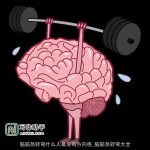 脑筋急转弯什么人最没有方向感_脑筋急转弯大全