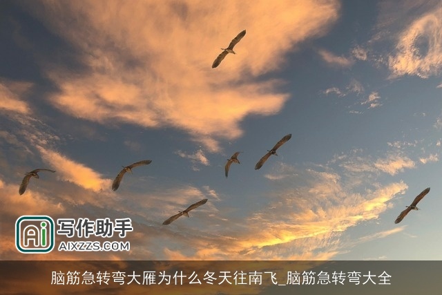 脑筋急转弯大雁为什么冬天往南飞_脑筋急转弯大全