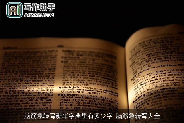 脑筋急转弯新华字典里有多少字_脑筋急转弯大全