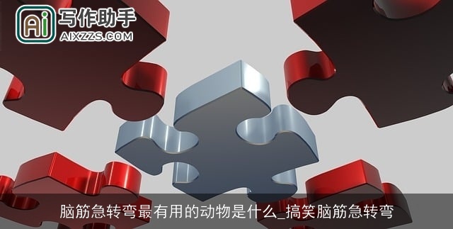 脑筋急转弯最有用的动物是什么_搞笑脑筋急转弯