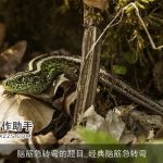 脑筋急转弯的题目_经典脑筋急转弯