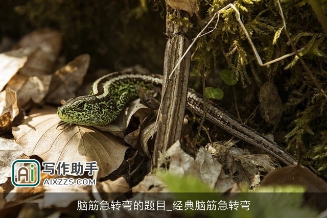 脑筋急转弯的题目_经典脑筋急转弯