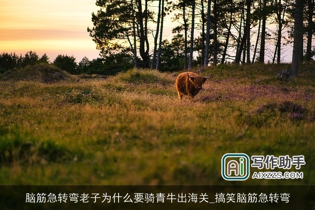 脑筋急转弯老子为什么要骑青牛出海关_搞笑脑筋急转弯